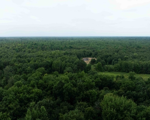 Juneau County WI 80 Acre Camp For Sale