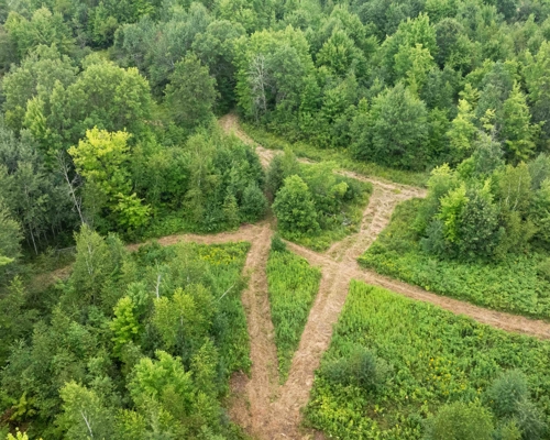 Juneau County WI 80 Acre Camp For Sale