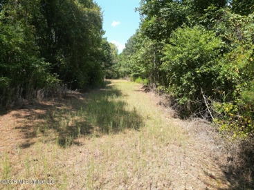 Listing 79