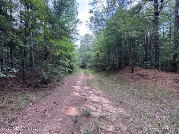 Listing 79