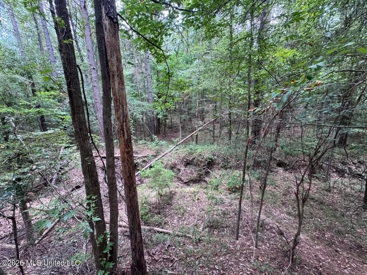 Listing 79