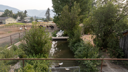 Country Home on Acreage with Creek Frontage in Frenchtown, MT - image 37