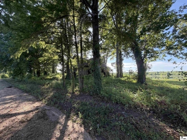 Listing 232