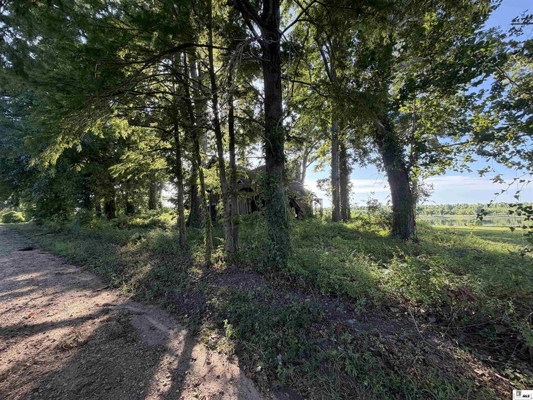 Old River Waterfront Lot Near Vidalia, LA