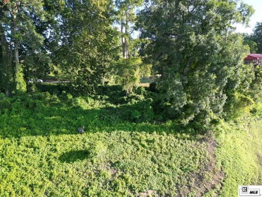 Old River Waterfront Lot Near Vidalia, LA