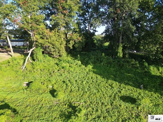 Old River Waterfront Lot Near Vidalia, LA