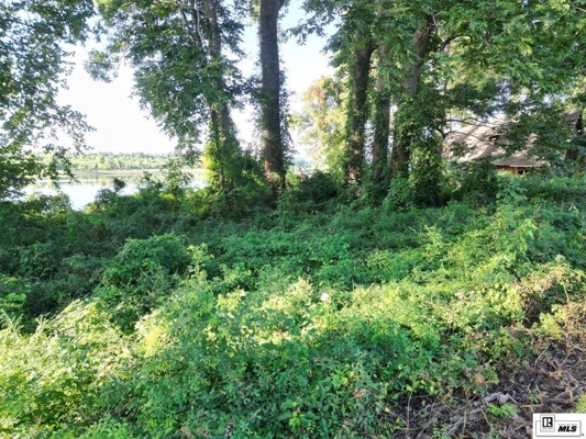 Old River Waterfront Lot Near Vidalia, LA