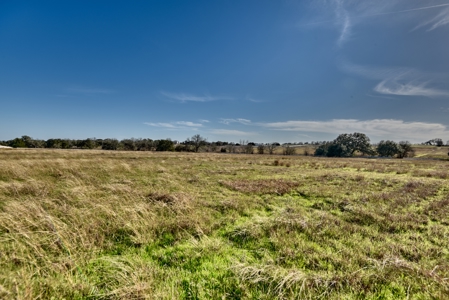 47.7 Acres of Texas Country Beauty Near Burton & Round Top - image 19