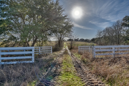 47.7 Acres of Texas Country Beauty Near Burton & Round Top - image 16