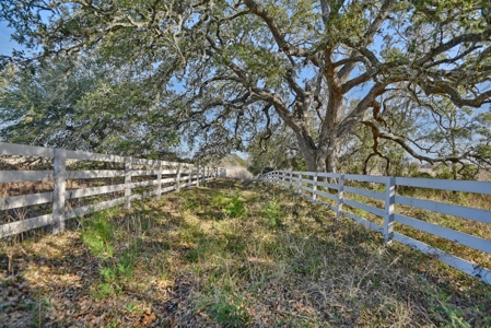 47.7 Acres of Texas Country Beauty Near Burton & Round Top - image 17