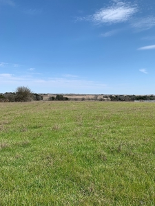 47.7 Acres of Texas Country Beauty Near Burton & Round Top - image 2