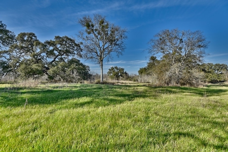 47.7 Acres of Texas Country Beauty Near Burton & Round Top - image 4
