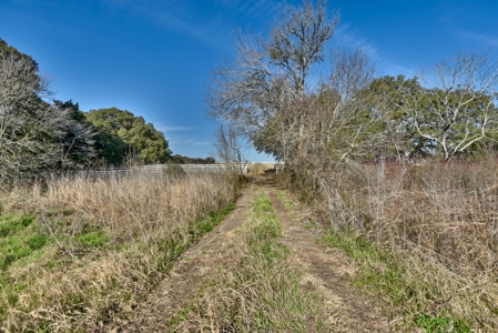 47.7 Acres of Texas Country Beauty Near Burton & Round Top - image 15