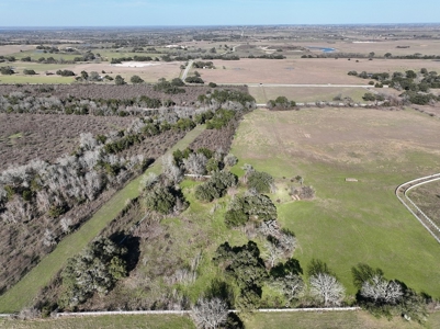 47.7 Acres of Texas Country Beauty Near Burton & Round Top - image 11