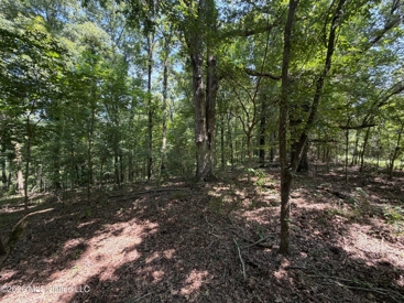 Listing 46