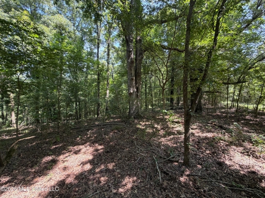 81-Acre Timber Property on 20-Acre Lake in Vaughan, Mississippi