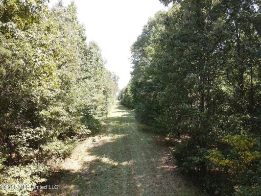 81-Acre Timber Property on 20-Acre Lake in Vaughan, Mississippi