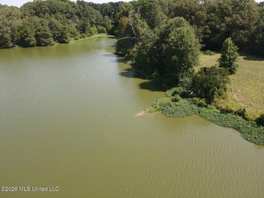 81-Acre Timber Property on 20-Acre Lake in Vaughan, Mississippi