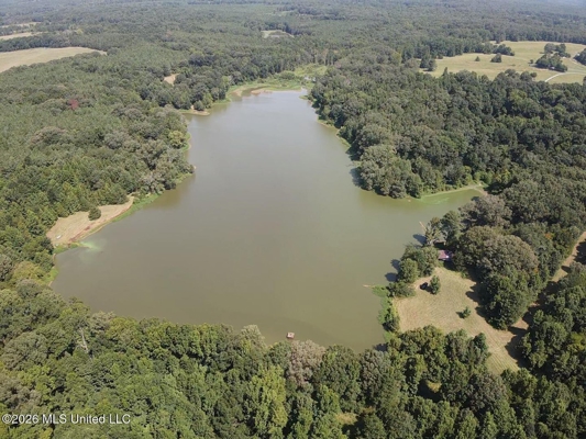 81-Acre Timber Property on 20-Acre Lake in Vaughan, Mississippi