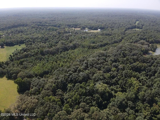 81-Acre Timber Property on 20-Acre Lake in Vaughan, Mississippi