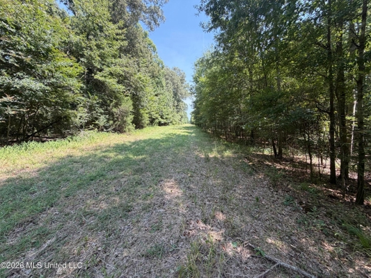 81-Acre Timber Property on 20-Acre Lake in Vaughan, Mississippi