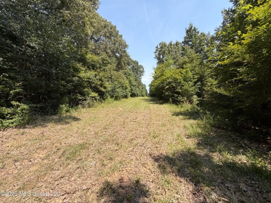 81-Acre Timber Property on 20-Acre Lake in Vaughan, Mississippi