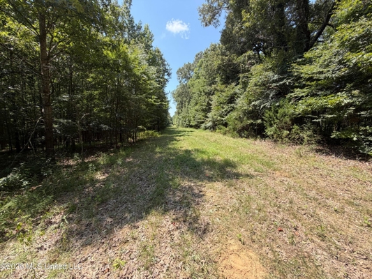 81-Acre Timber Property on 20-Acre Lake in Vaughan, Mississippi