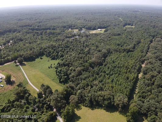 81-Acre Timber Property on 20-Acre Lake in Vaughan, Mississippi