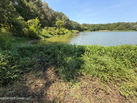 81-Acre Timber Property on 20-Acre Lake in Vaughan, Mississippi