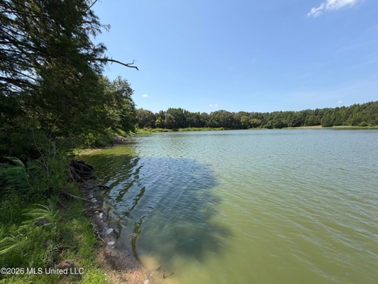 81-Acre Timber Property on 20-Acre Lake in Vaughan, Mississippi