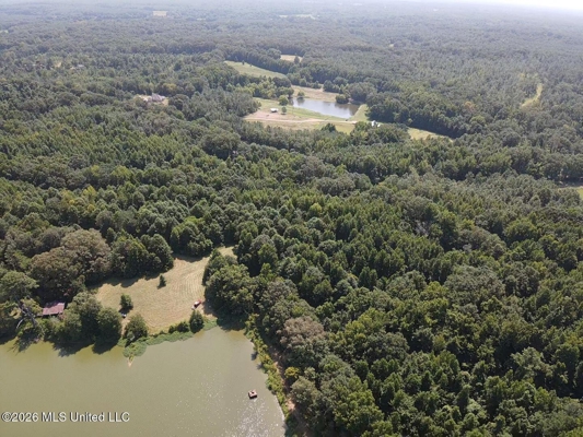 81-Acre Timber Property on 20-Acre Lake in Vaughan, Mississippi