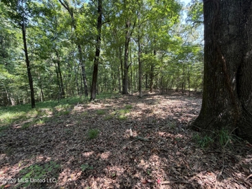 Listing 46