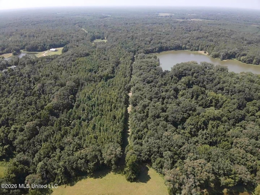 81-Acre Timber Property on 20-Acre Lake in Vaughan, Mississippi