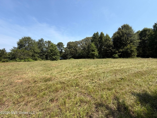 81-Acre Timber Property on 20-Acre Lake in Vaughan, Mississippi