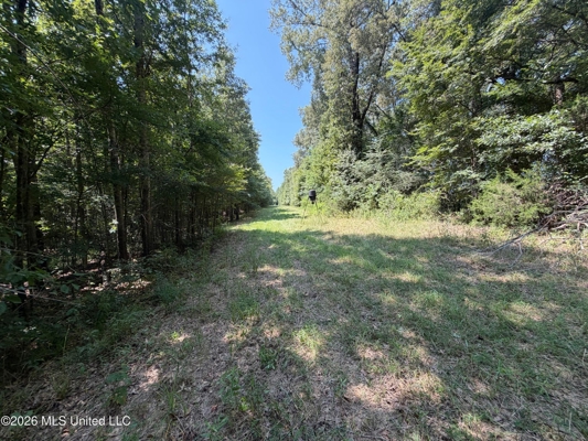 81-Acre Timber Property on 20-Acre Lake in Vaughan, Mississippi