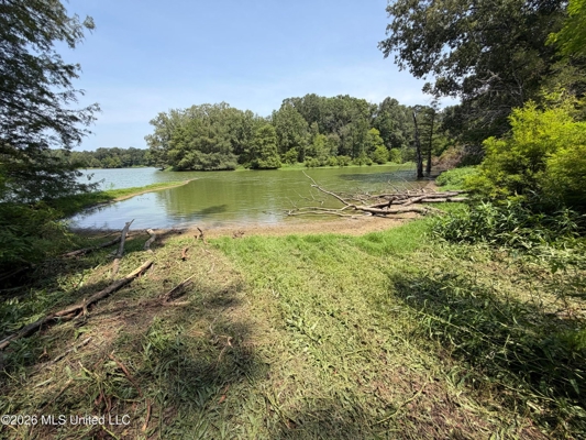 81-Acre Timber Property on 20-Acre Lake in Vaughan, Mississippi