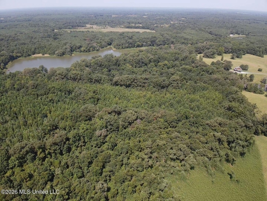 81-Acre Timber Property on 20-Acre Lake in Vaughan, Mississippi