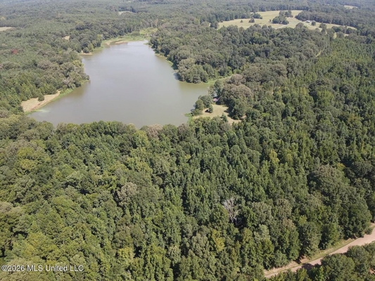 81-Acre Timber Property on 20-Acre Lake in Vaughan, Mississippi