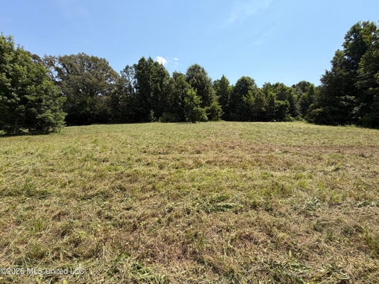 81-Acre Timber Property on 20-Acre Lake in Vaughan, Mississippi