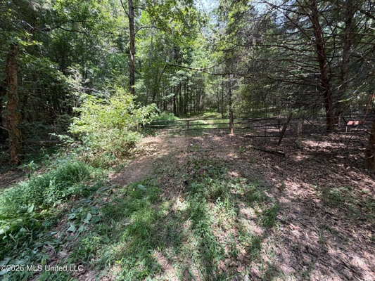 81-Acre Timber Property on 20-Acre Lake in Vaughan, Mississippi