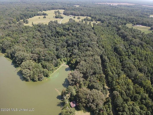 81-Acre Timber Property on 20-Acre Lake in Vaughan, Mississippi