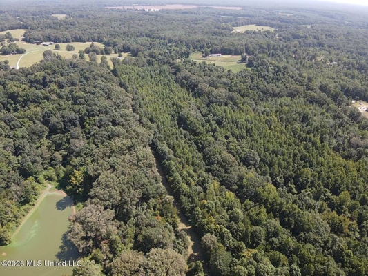 81-Acre Timber Property on 20-Acre Lake in Vaughan, Mississippi