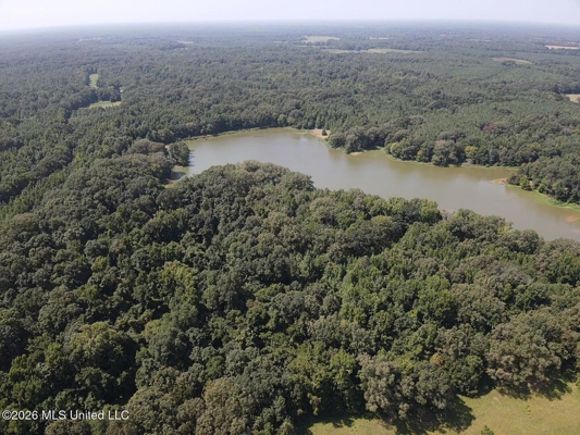 81-Acre Timber Property on 20-Acre Lake in Vaughan, Mississippi