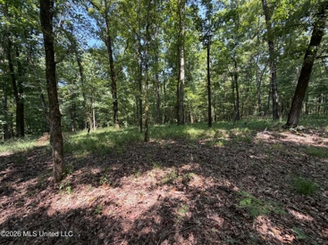 Listing 46