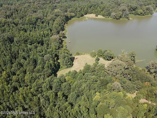 81-Acre Timber Property on 20-Acre Lake in Vaughan, Mississippi