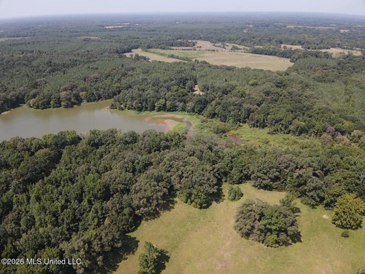 81-Acre Timber Property on 20-Acre Lake in Vaughan, Mississippi