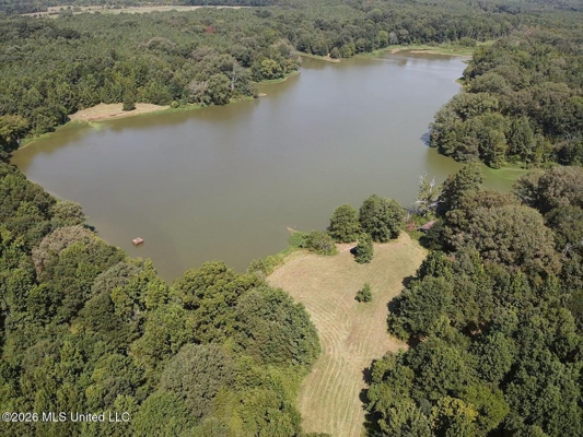 81-Acre Timber Property on 20-Acre Lake in Vaughan, Mississippi