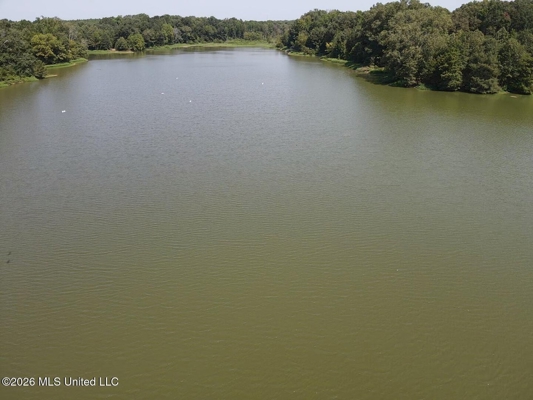81-Acre Timber Property on 20-Acre Lake in Vaughan, Mississippi