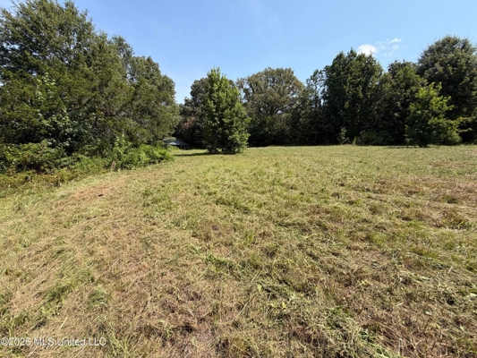81-Acre Timber Property on 20-Acre Lake in Vaughan, Mississippi