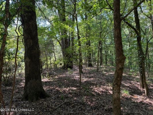 81-Acre Timber Property on 20-Acre Lake in Vaughan, Mississippi